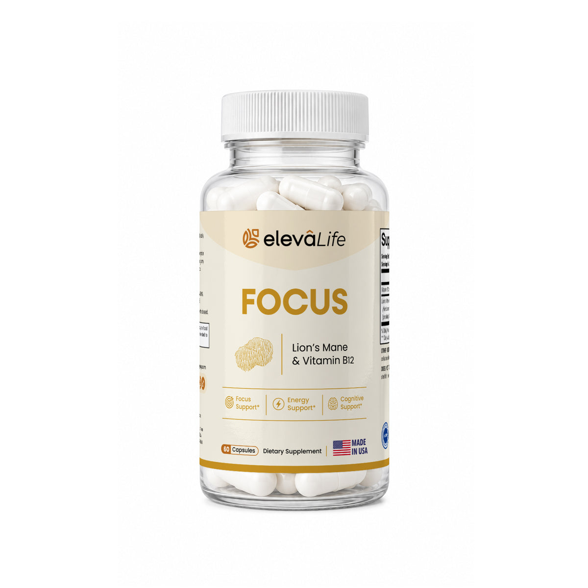 Eleva Life Focus