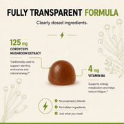 Eleva Life Energy Gummies