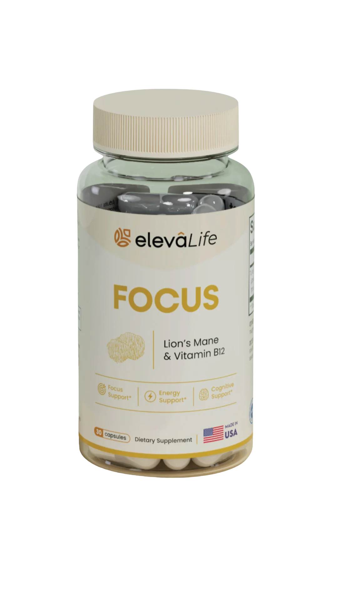 Eleva Life Focus