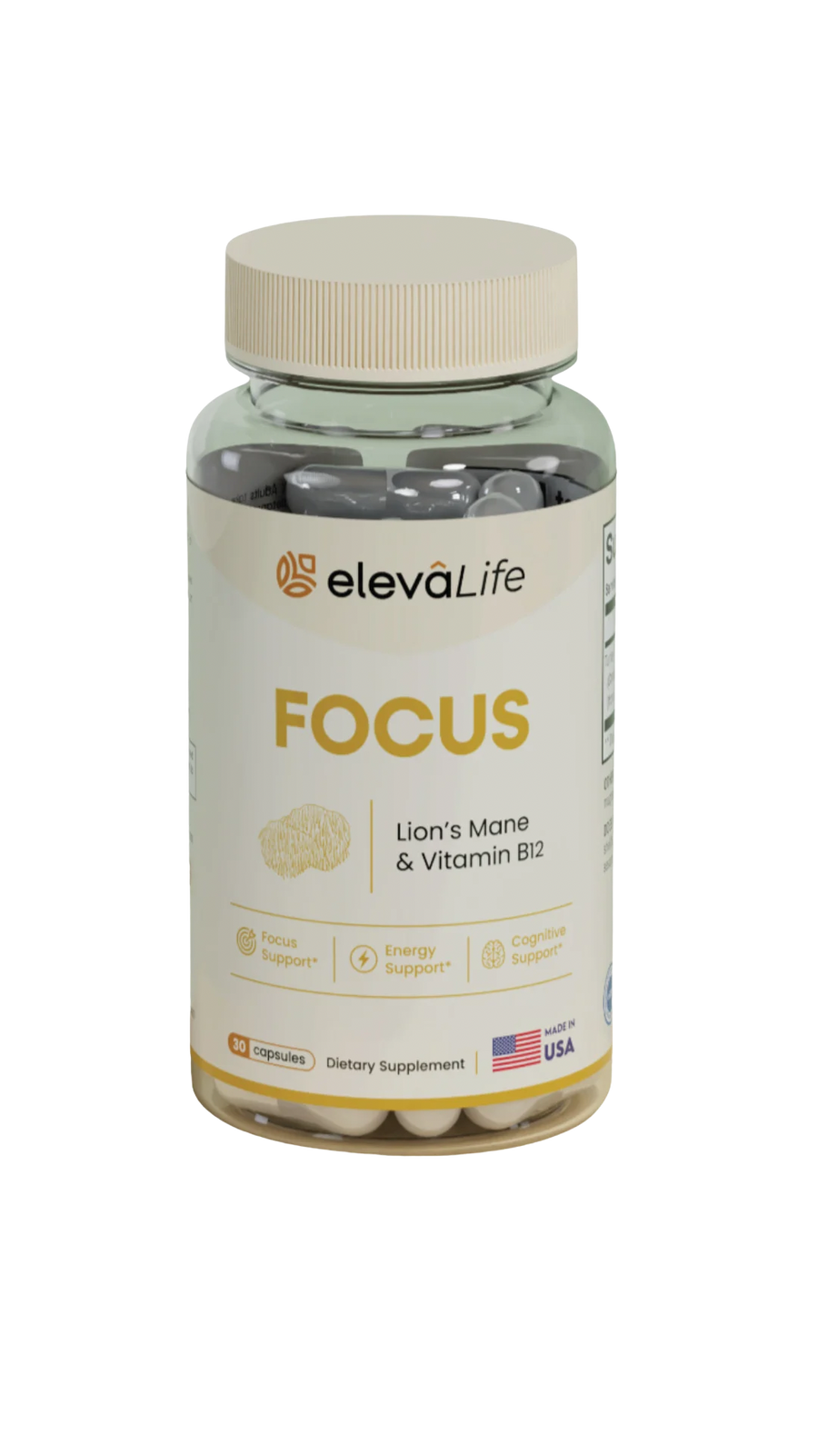 Eleva Life Focus